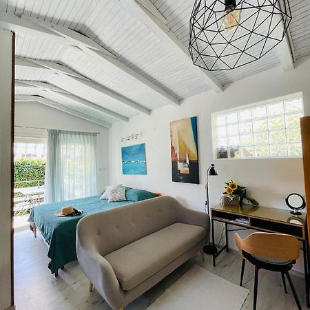 Pasiflora Studio Novigrad Istria Eksteriør billede