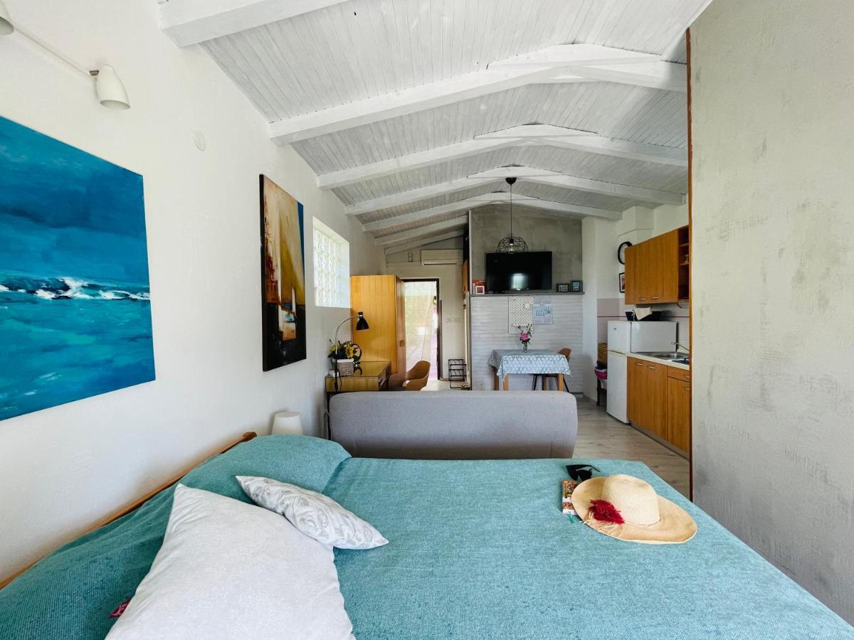 Pasiflora Studio Novigrad Istria Eksteriør billede