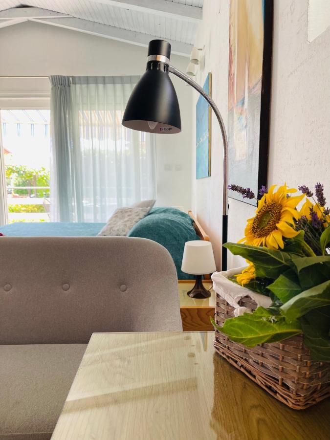 Pasiflora Studio Novigrad Istria Eksteriør billede