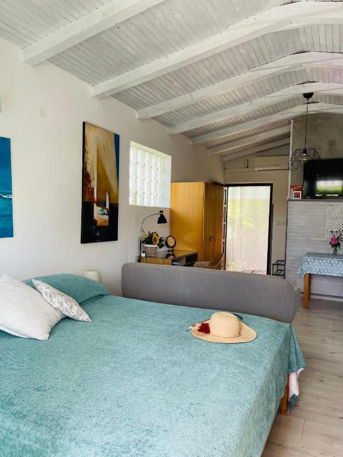 Pasiflora Studio Novigrad Istria Eksteriør billede
